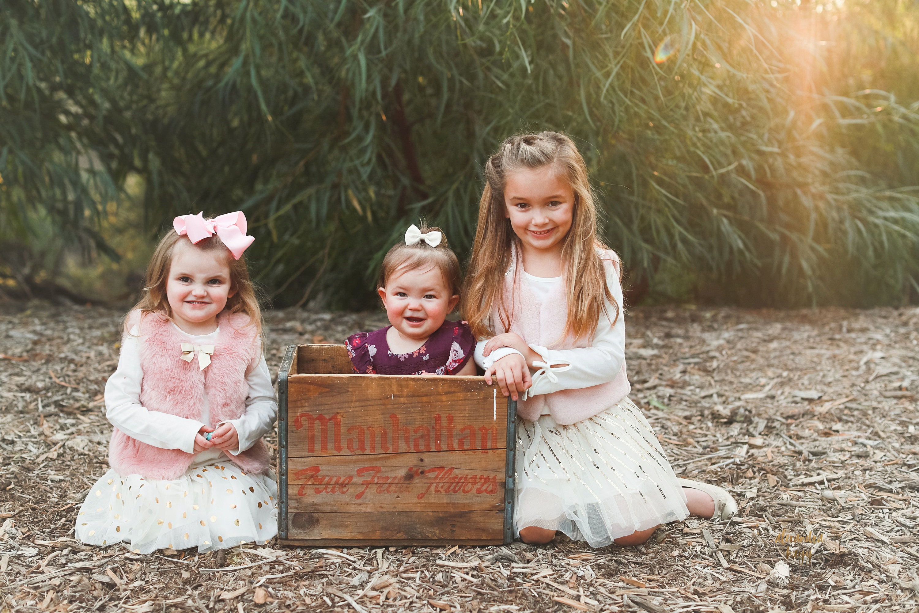 Queen Creek Family Photographer