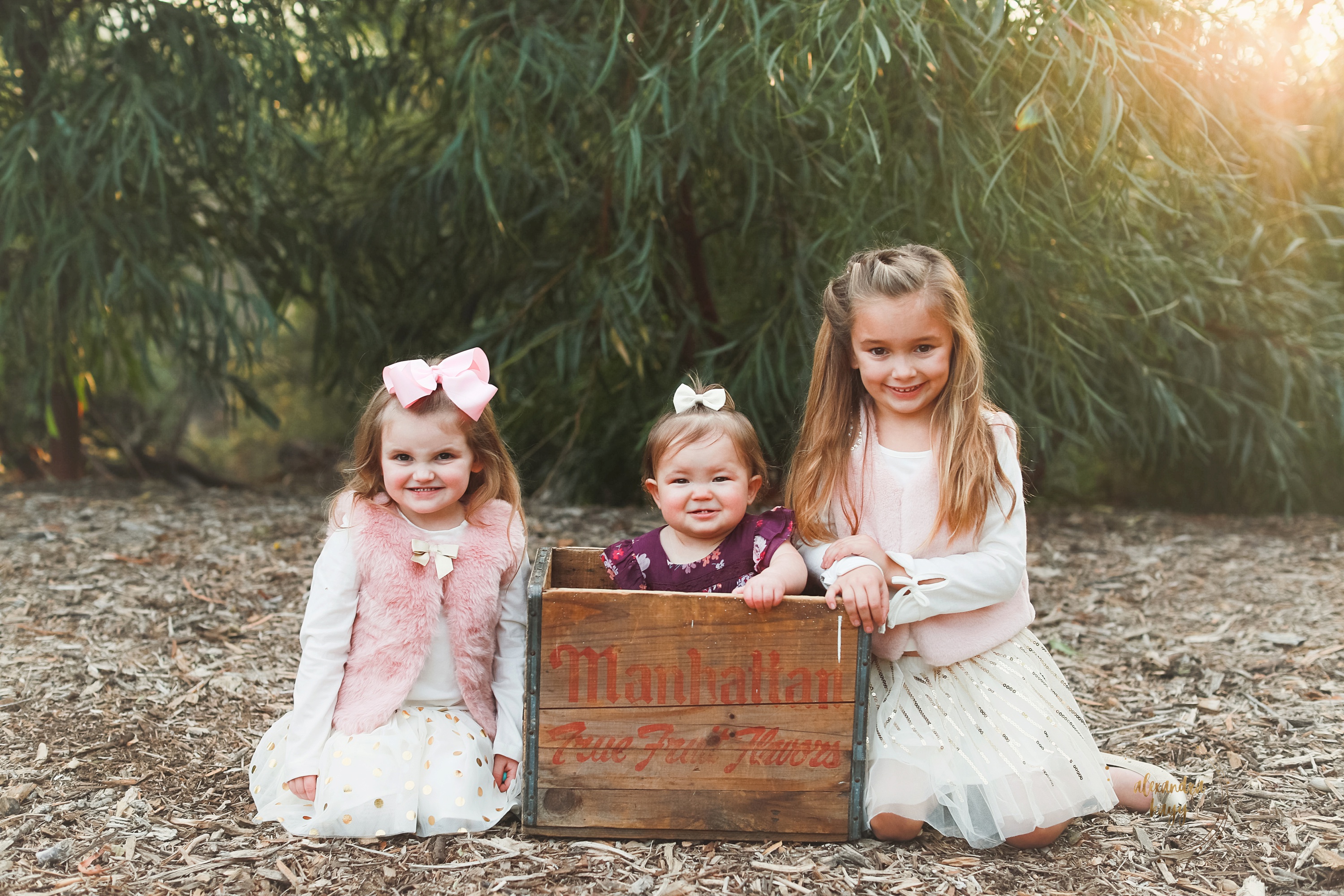 Queen Creek Family Photographer