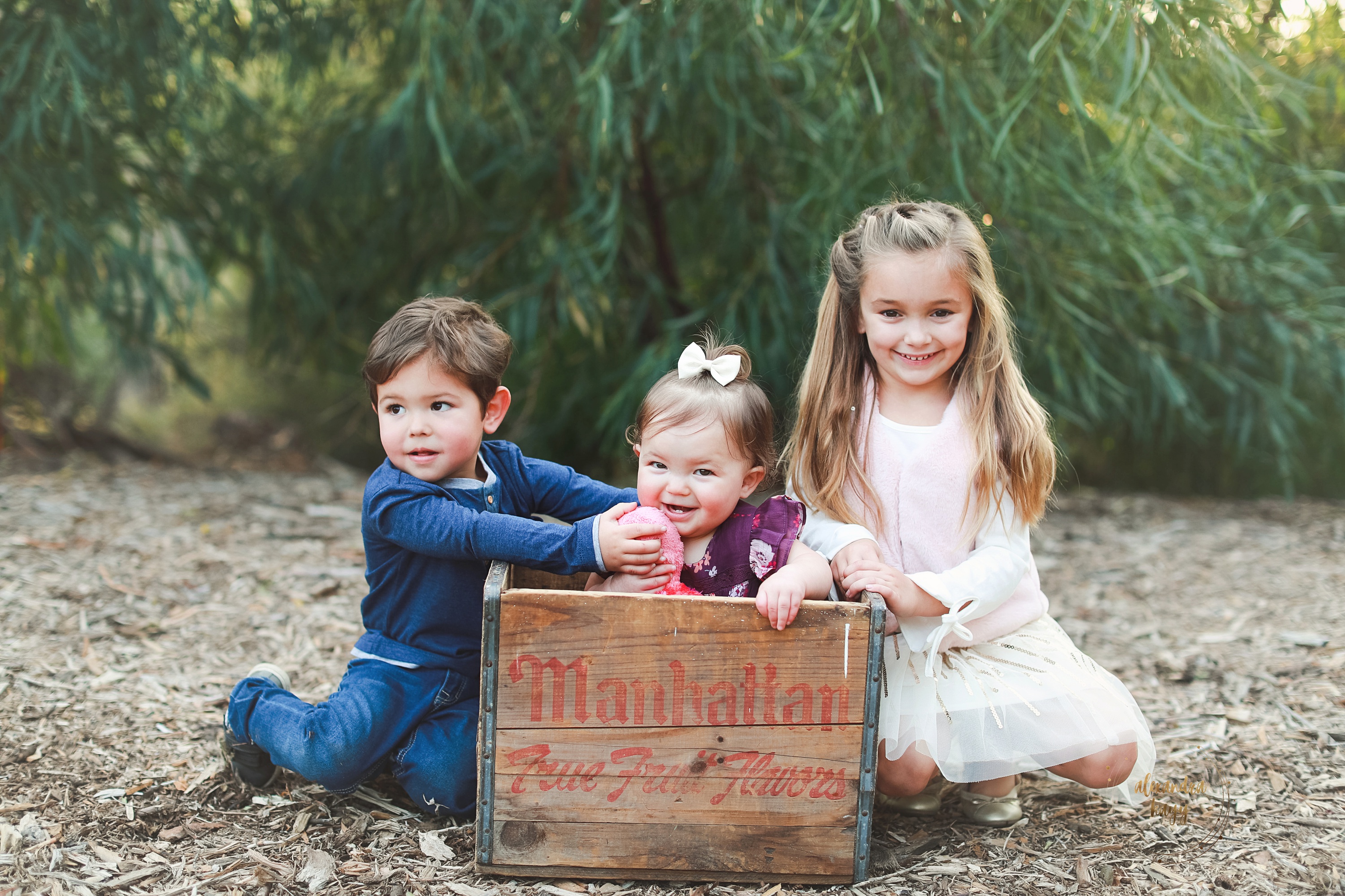 Queen Creek Family Photographer