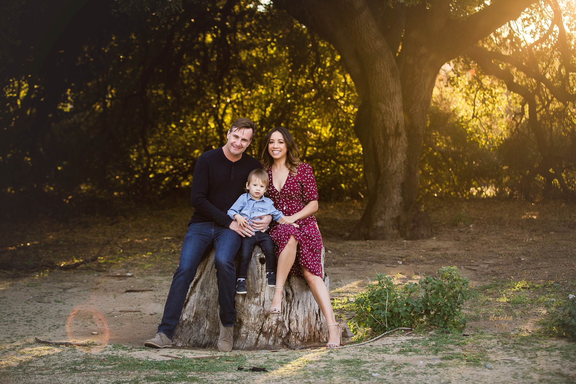 Phoenix, AZ Family Photographer - Family Mini Session