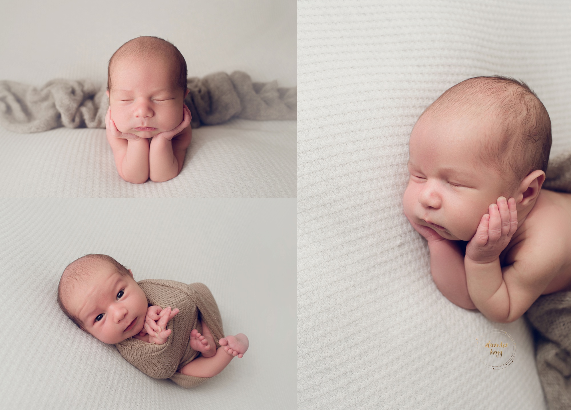 Best Phoenix Infant Photographer