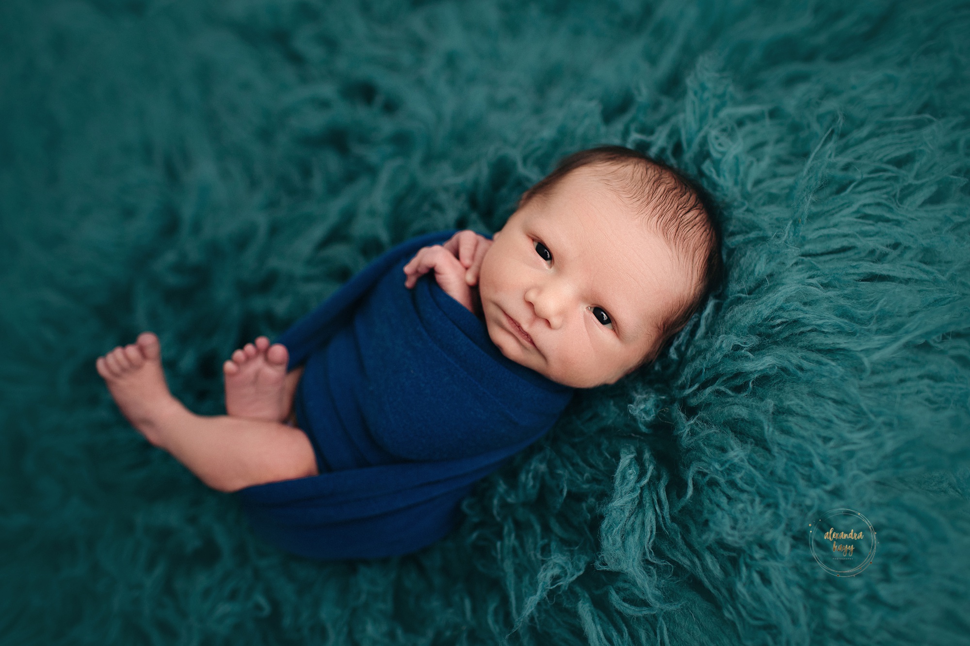 Maricopa County Infant Photographer