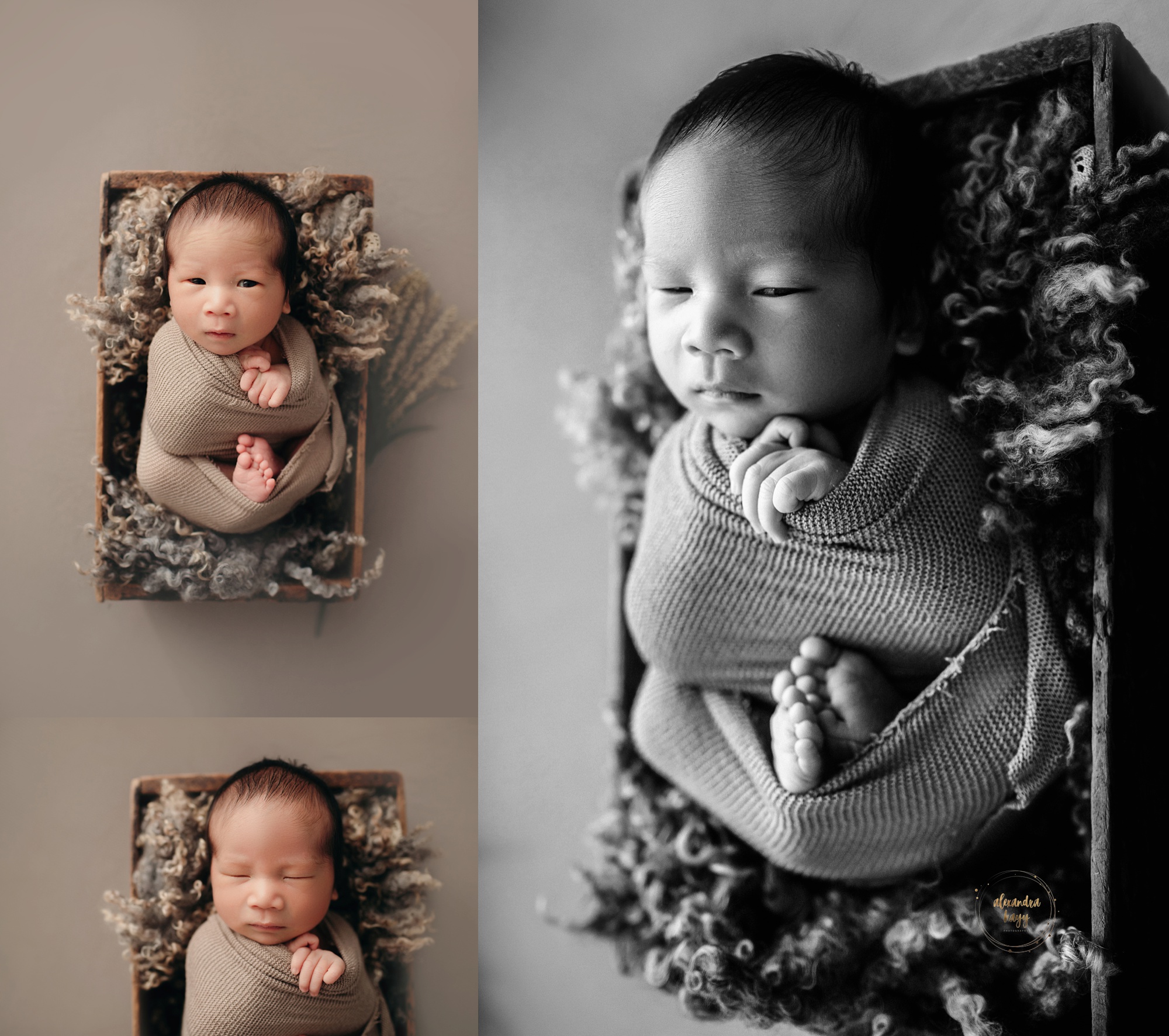 Baby Portraits in Phoenix, AZ