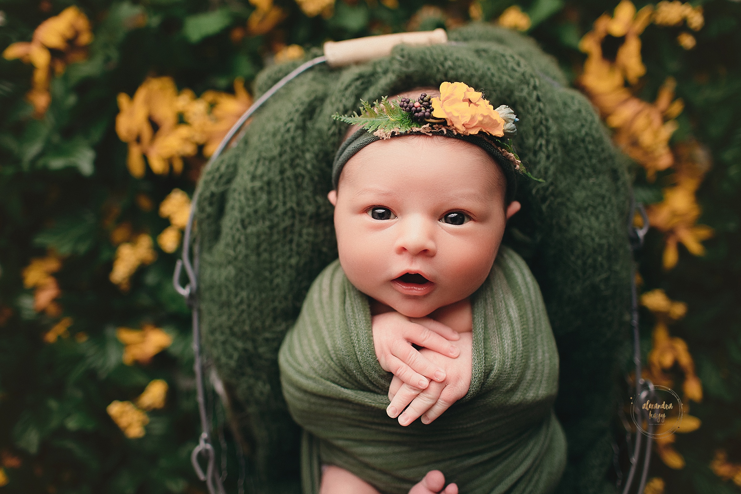 Goodyear, AZ Baby Photographer