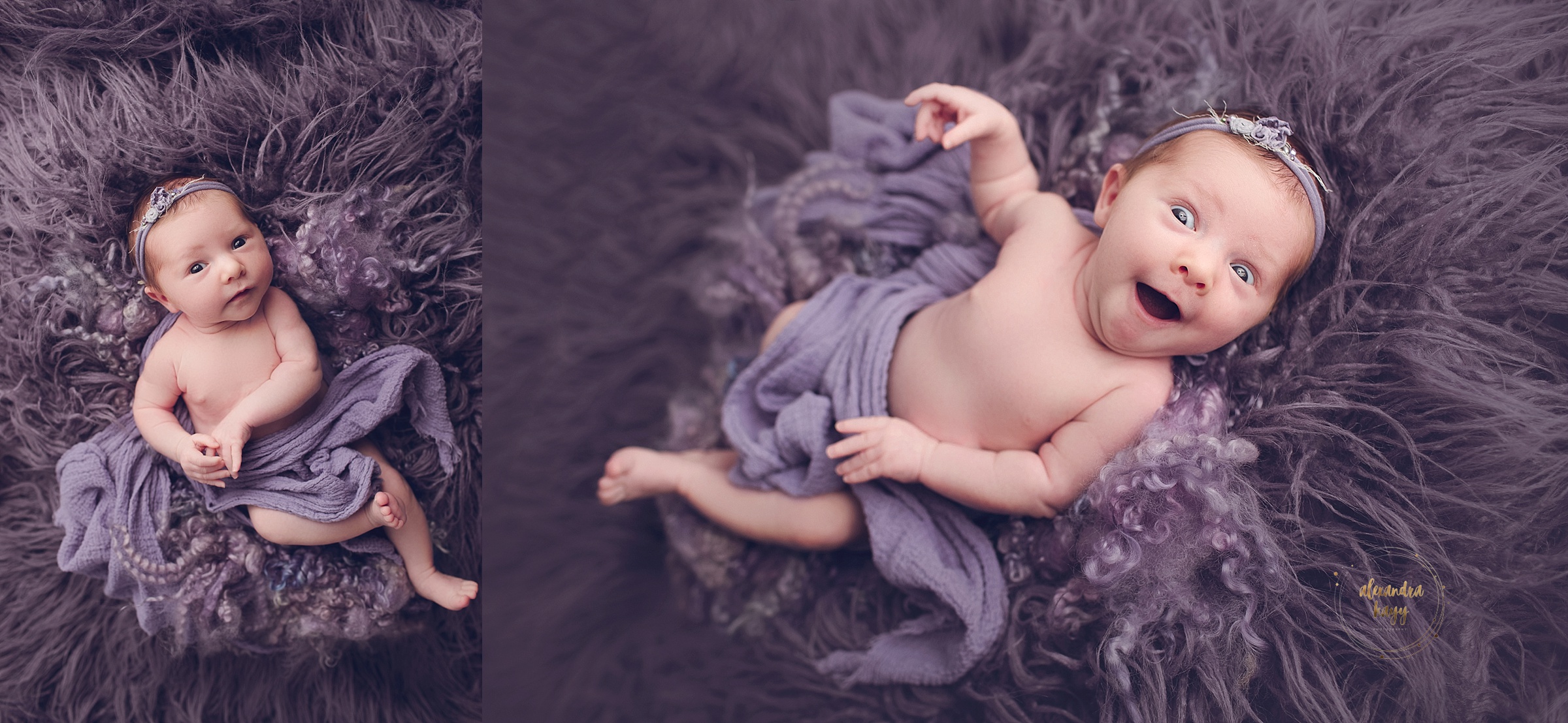 Verrado, AZ Newborn Photographer