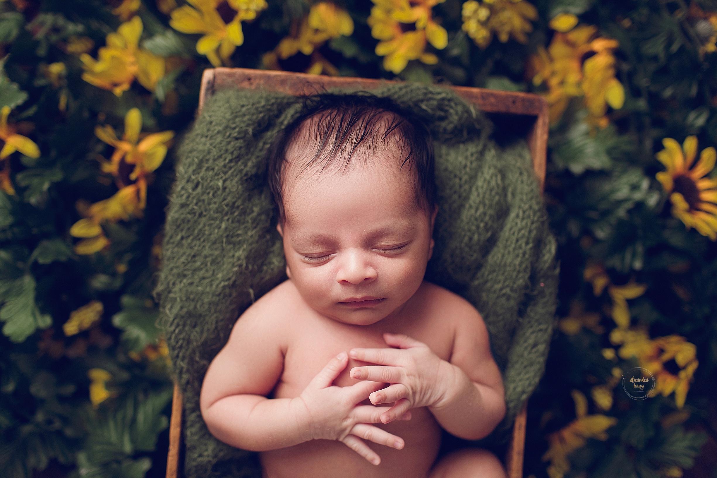 Maricopa County Newborn photographer,baby photographers near me