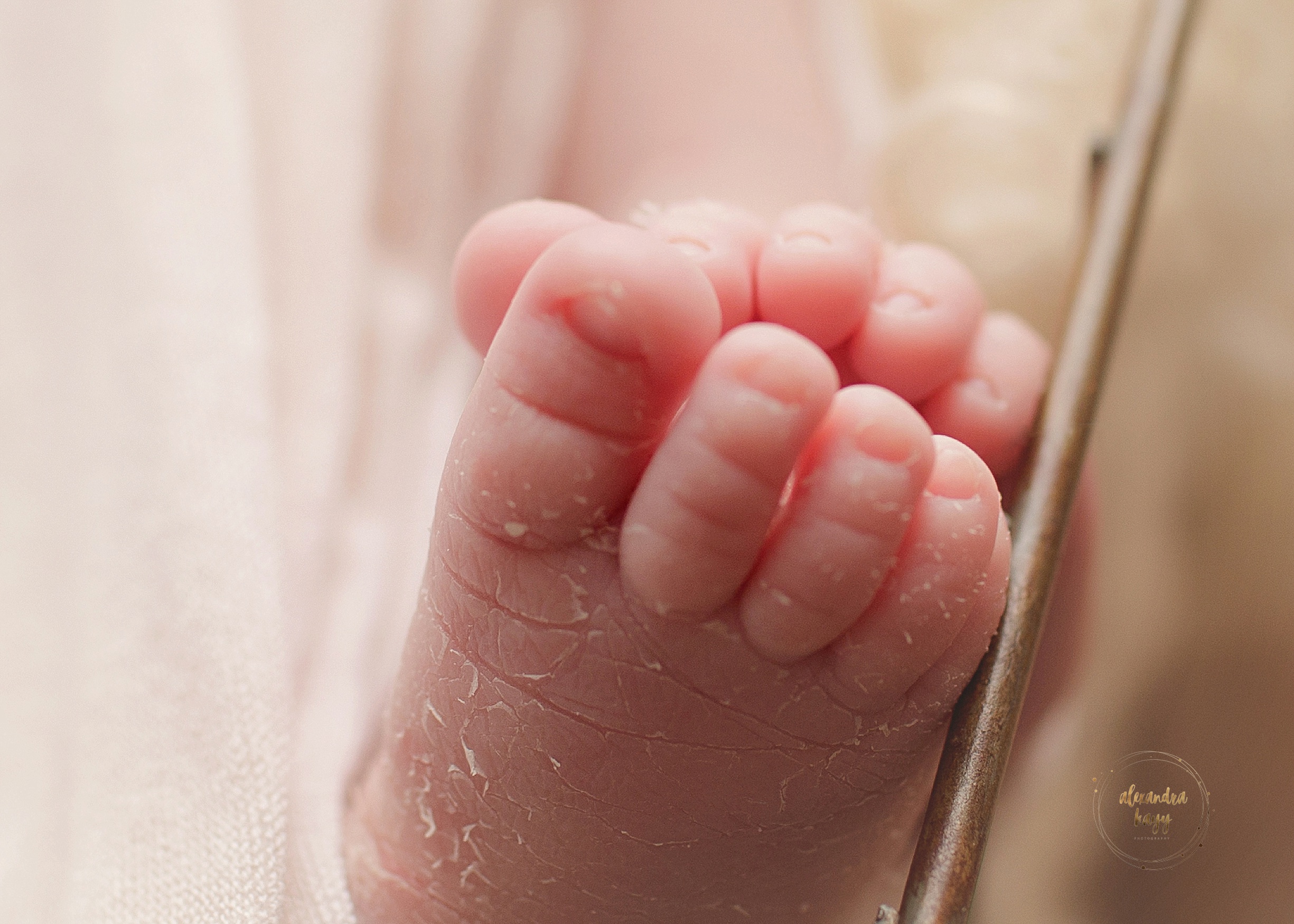 newborn photography peoria arizona