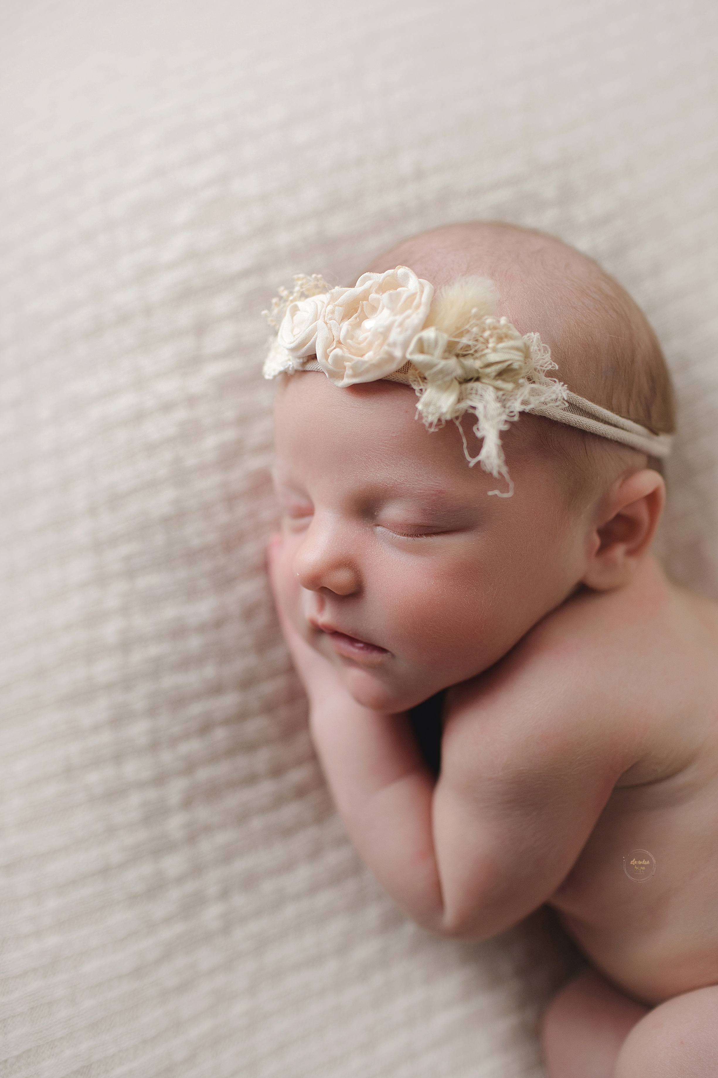 Phoenix Newborn Baby Photographer