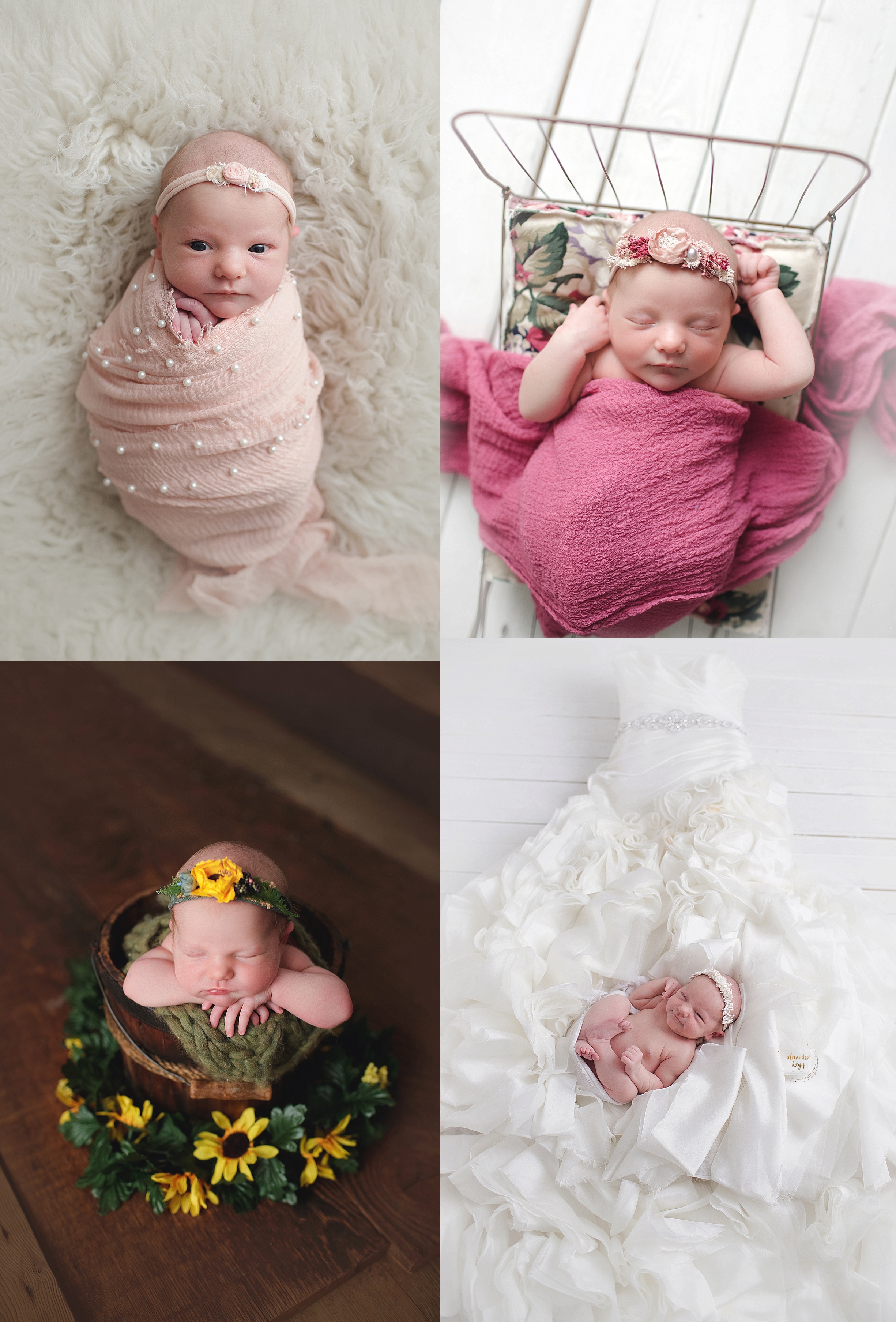 Phoenix Newborn Baby Photographer