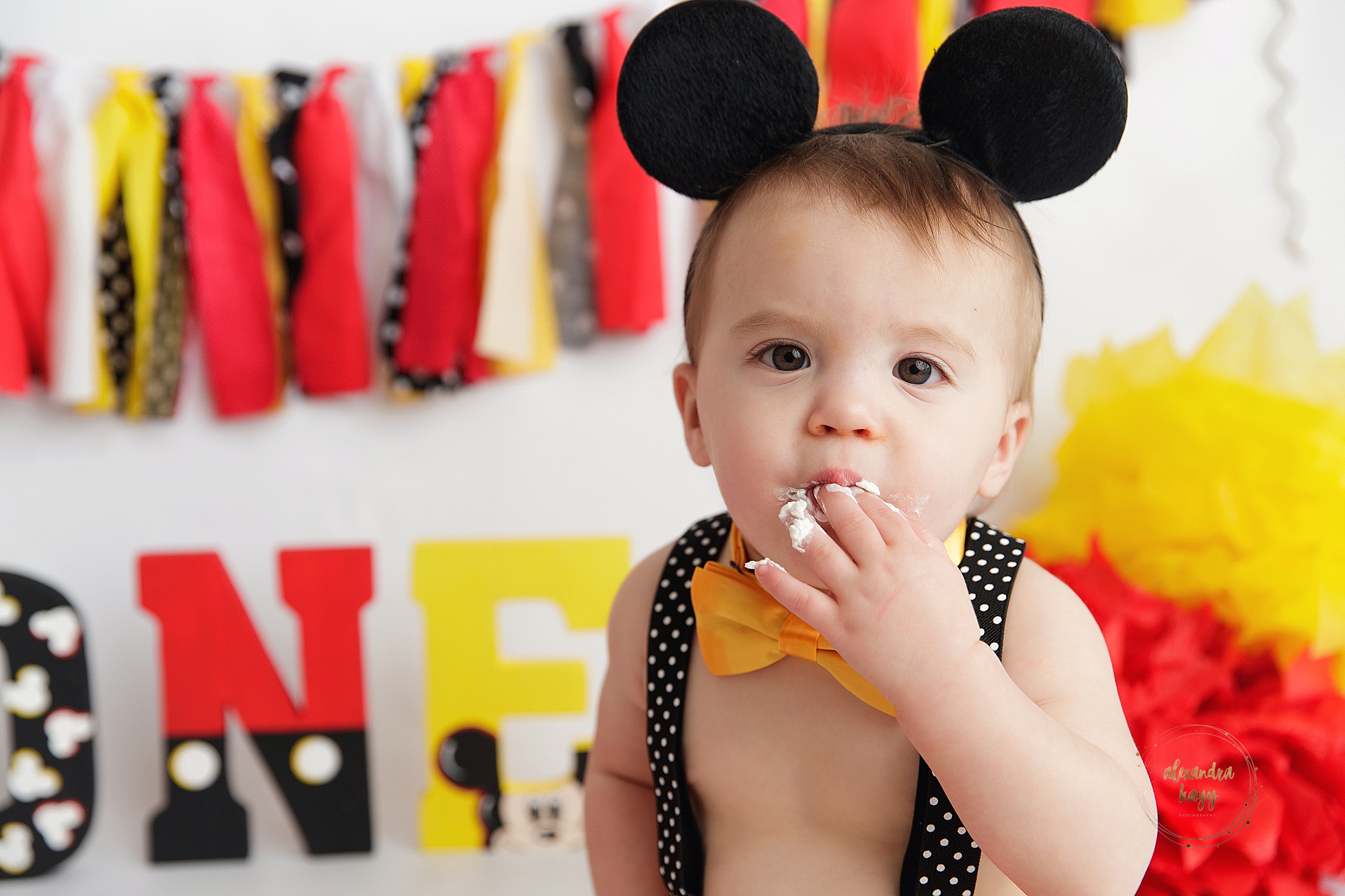 Cake Smash Maricopa County Baby Photographer!