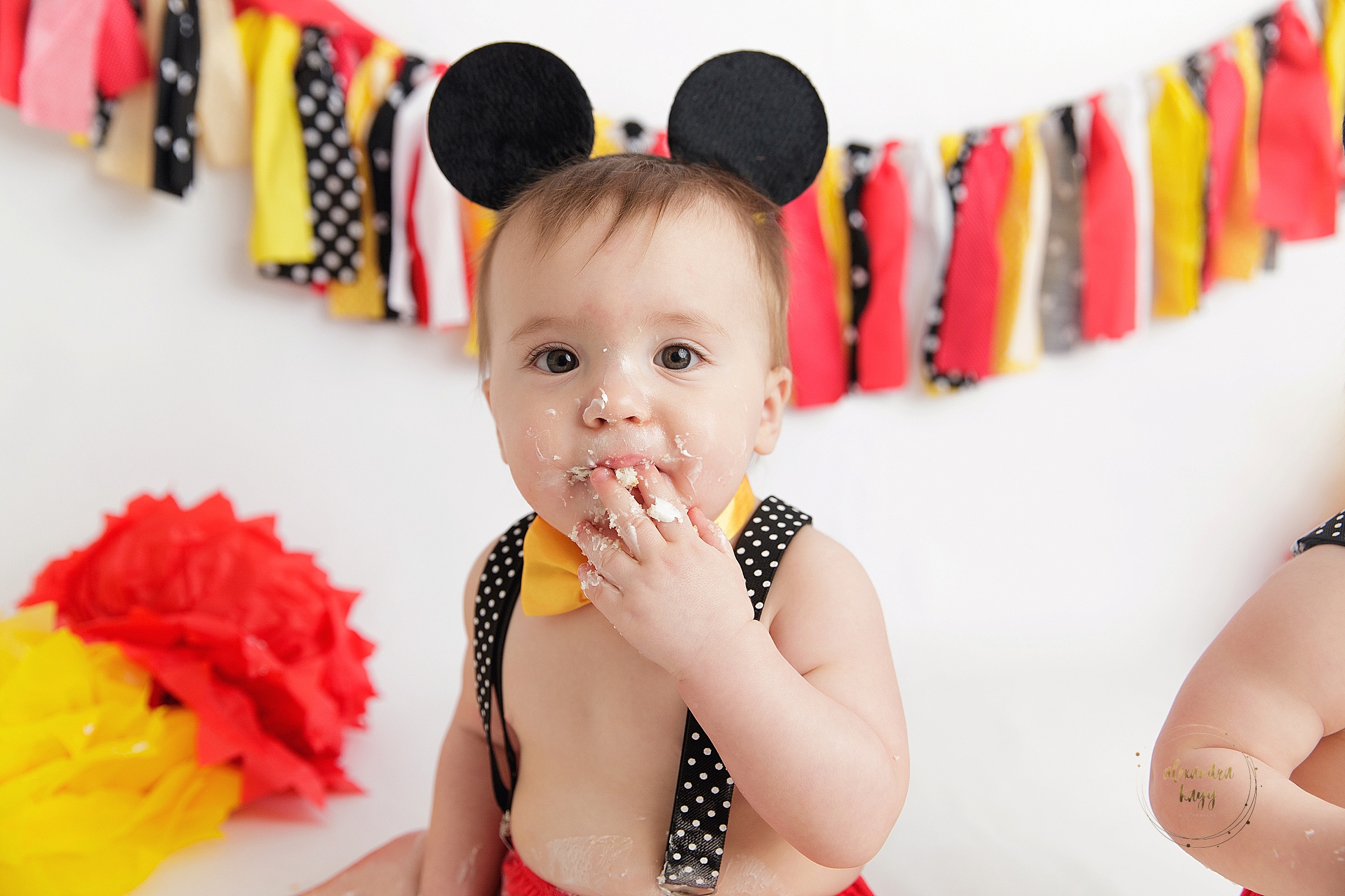 Cake Smash Maricopa County Baby Photographer!