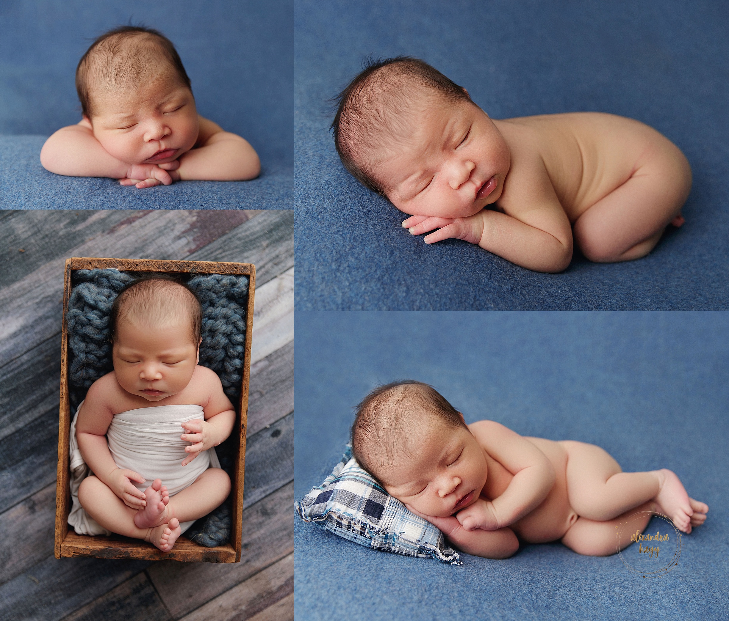 Newborn Photographer in Phoenix, AZ