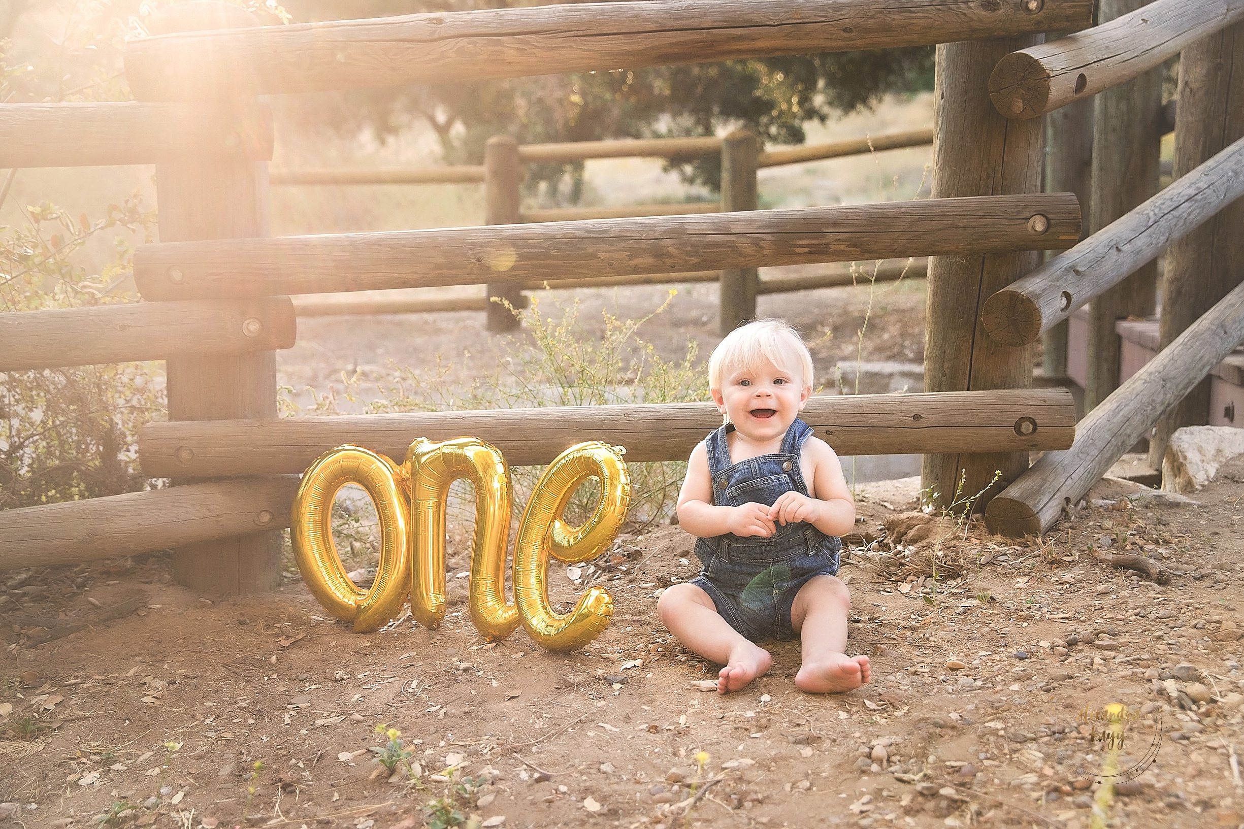 phoenix family photography, phoenix cake smash photography, family photographer near me, cake smash photographer near me