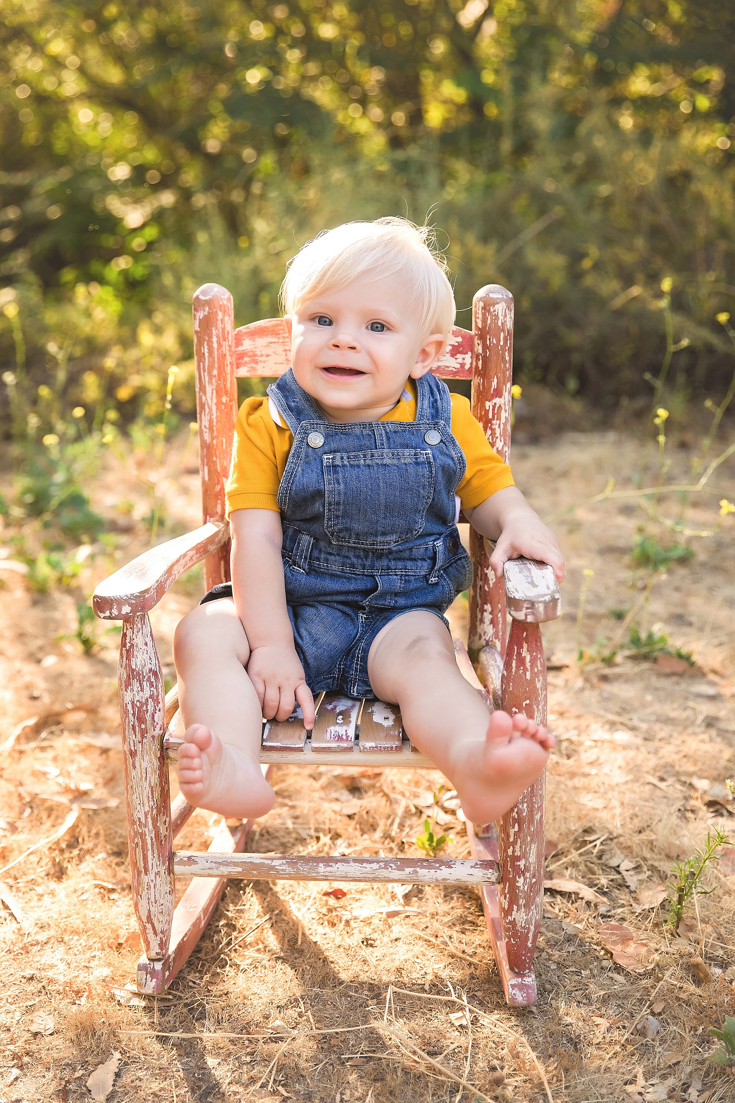 phoenix family photography, phoenix cake smash photography, family photographer near me, cake smash photographer near me