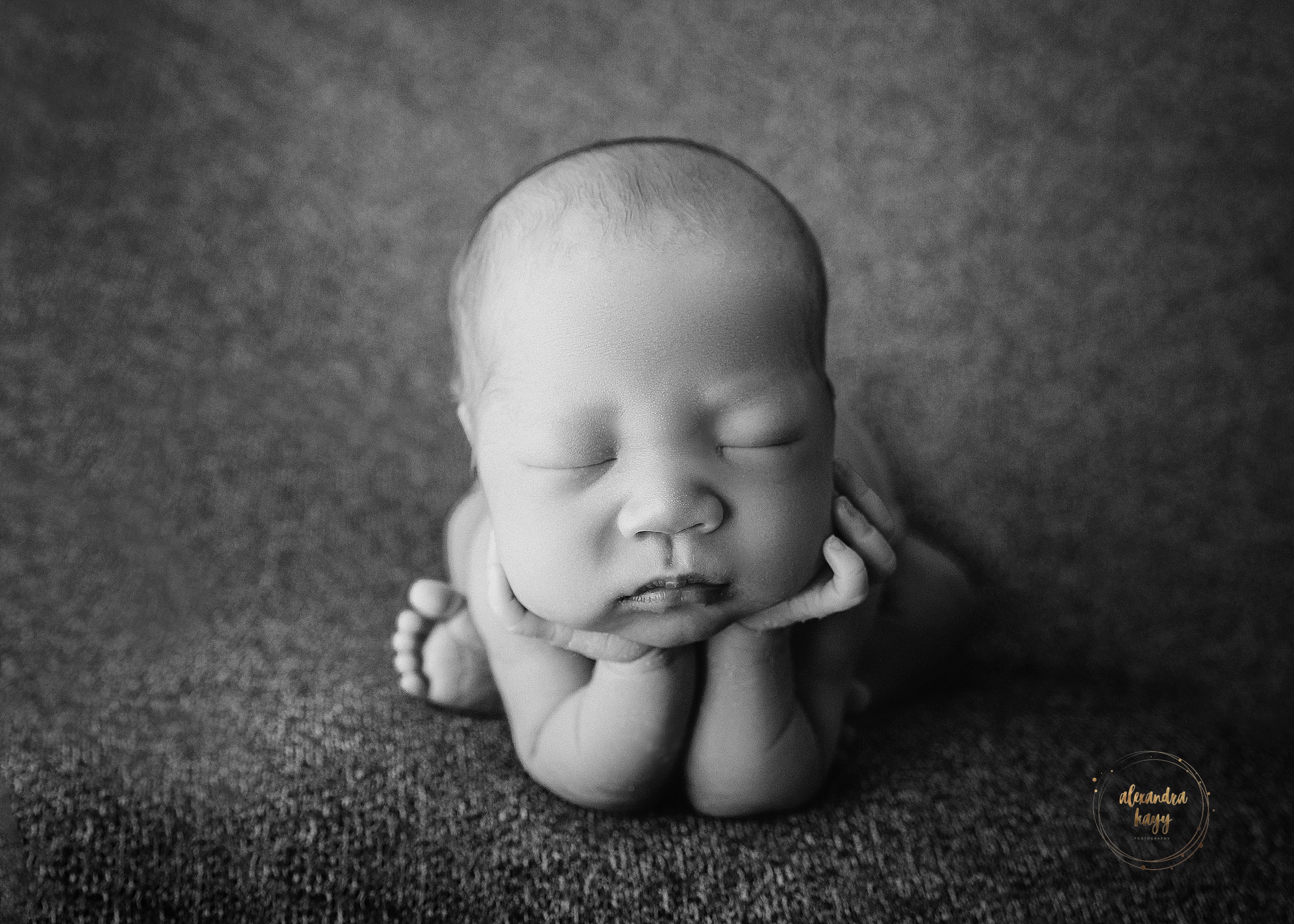 Phoenix Newborn Portraits