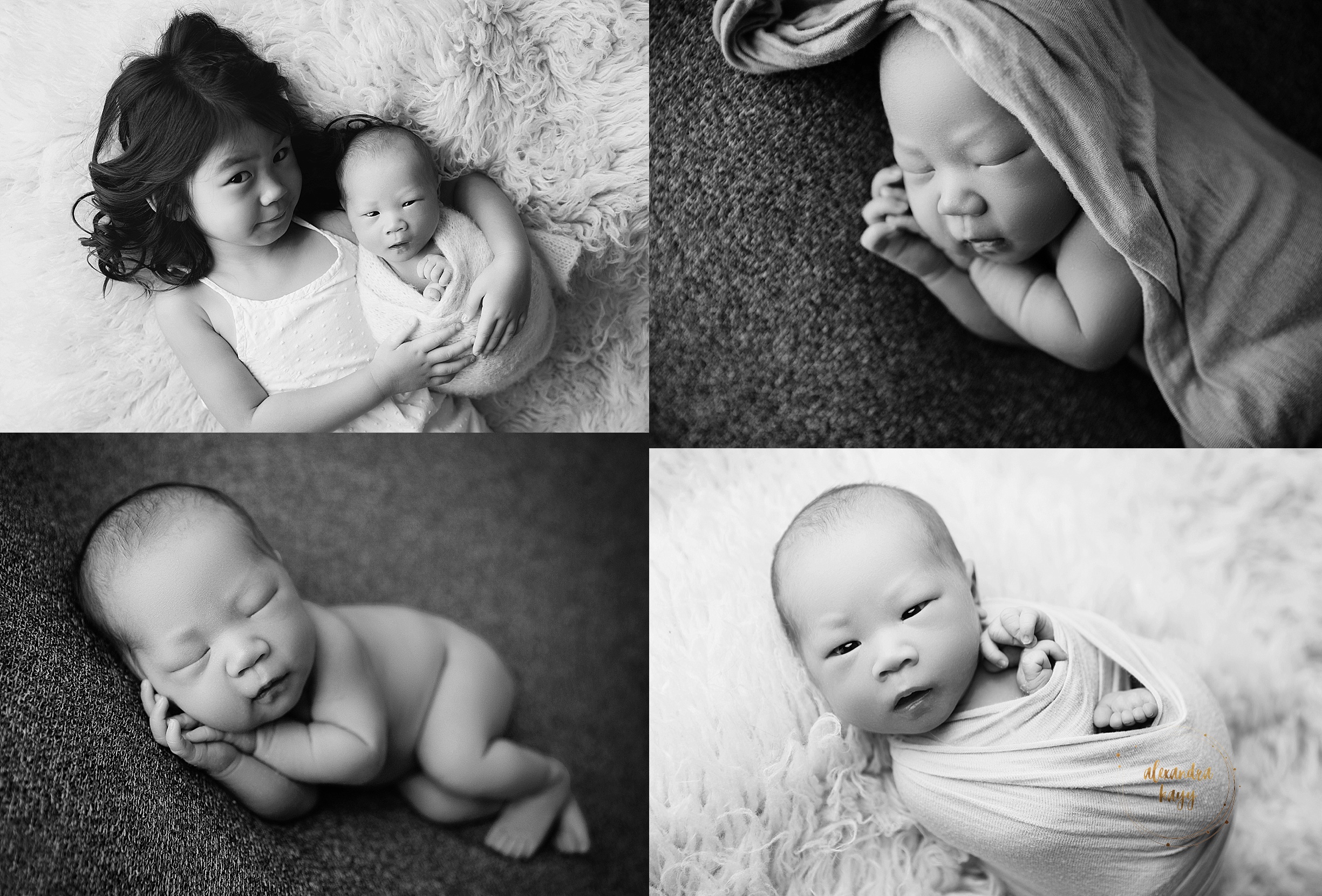 Phoenix Newborn Portraits