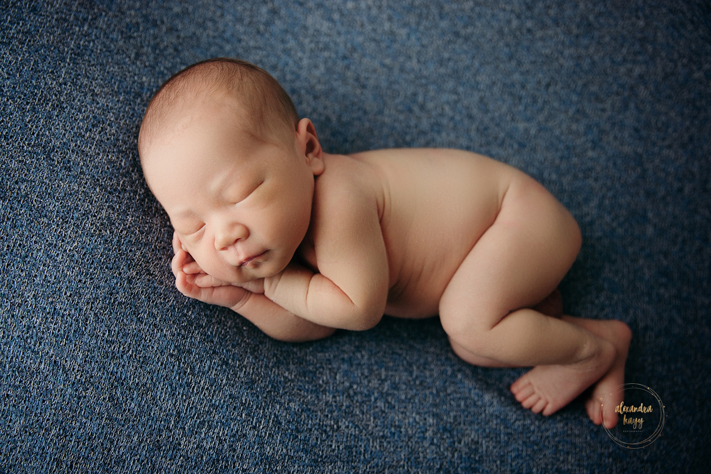 Phoenix Newborn Portraits