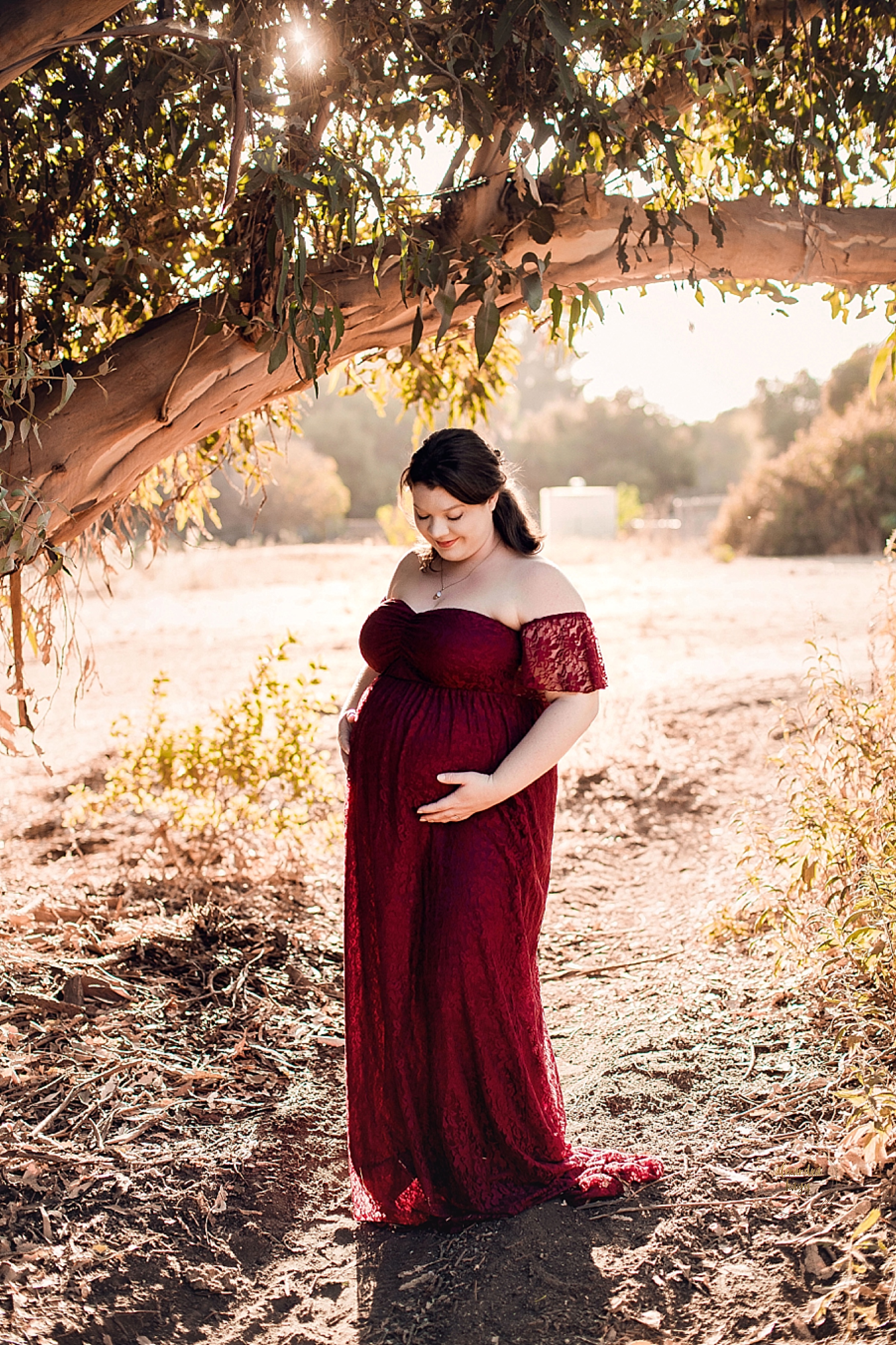 Maricopa County Maternity Portraits