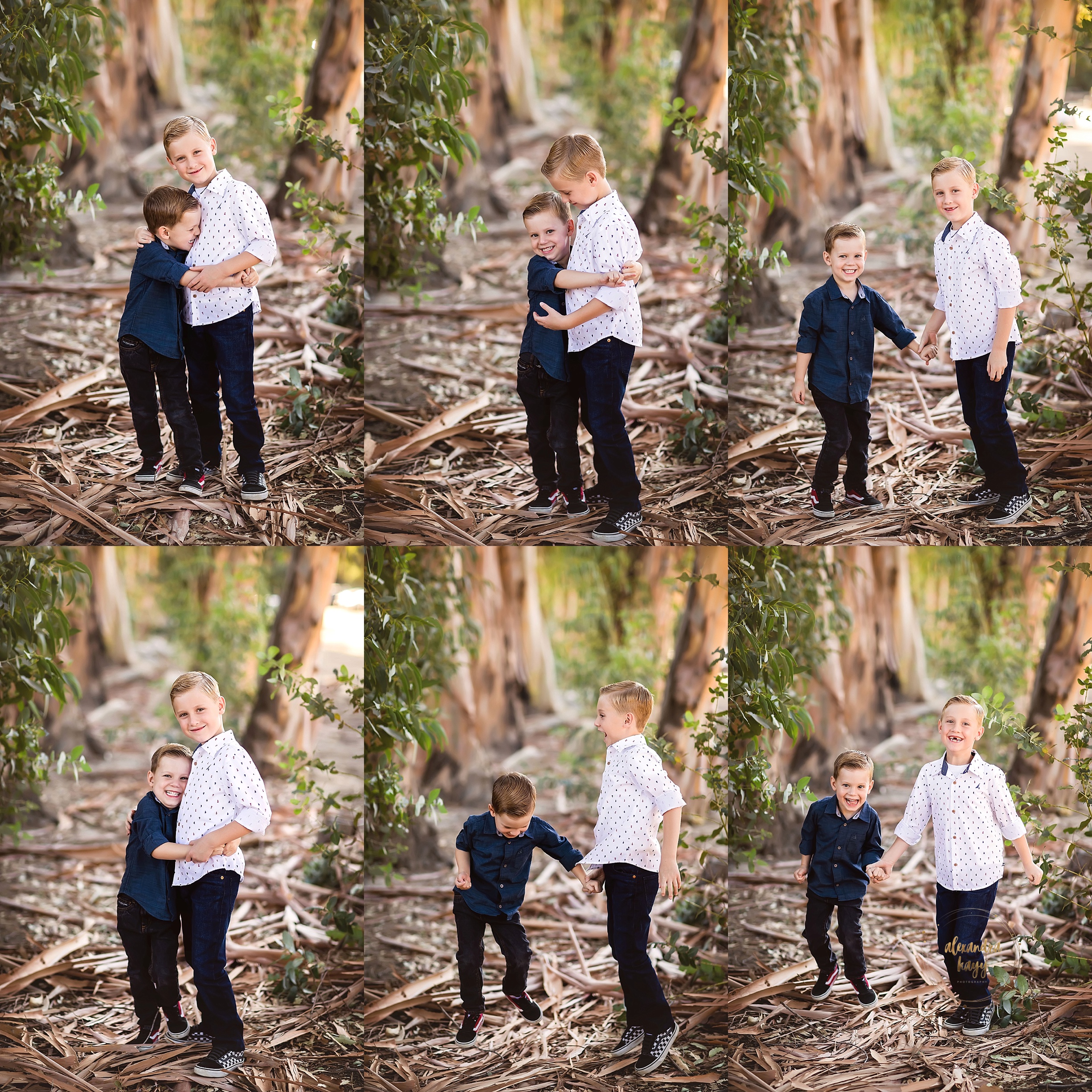 family photographers near me