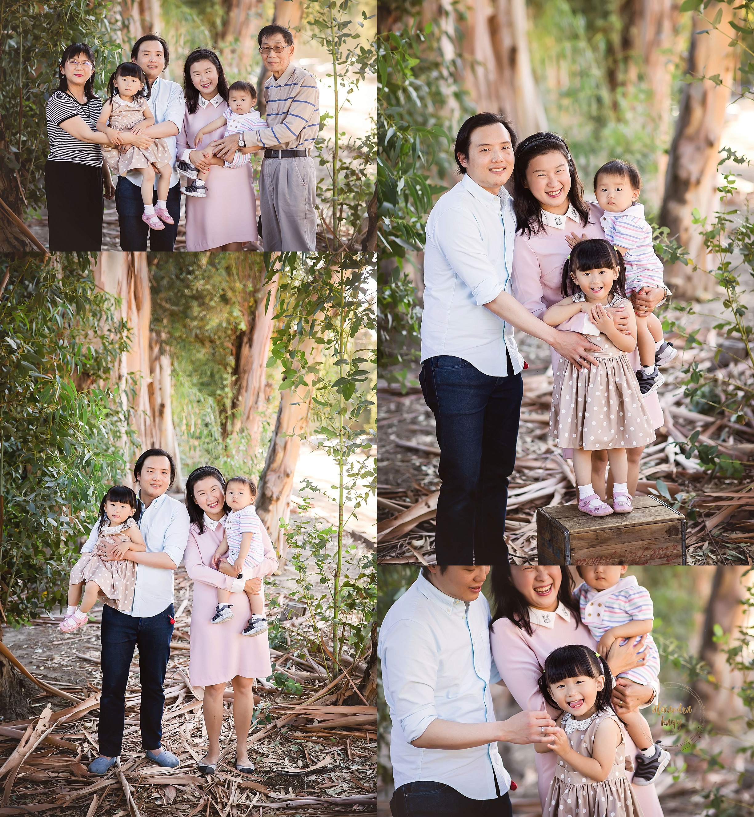 Phoenix Family Photographer, family photography near me