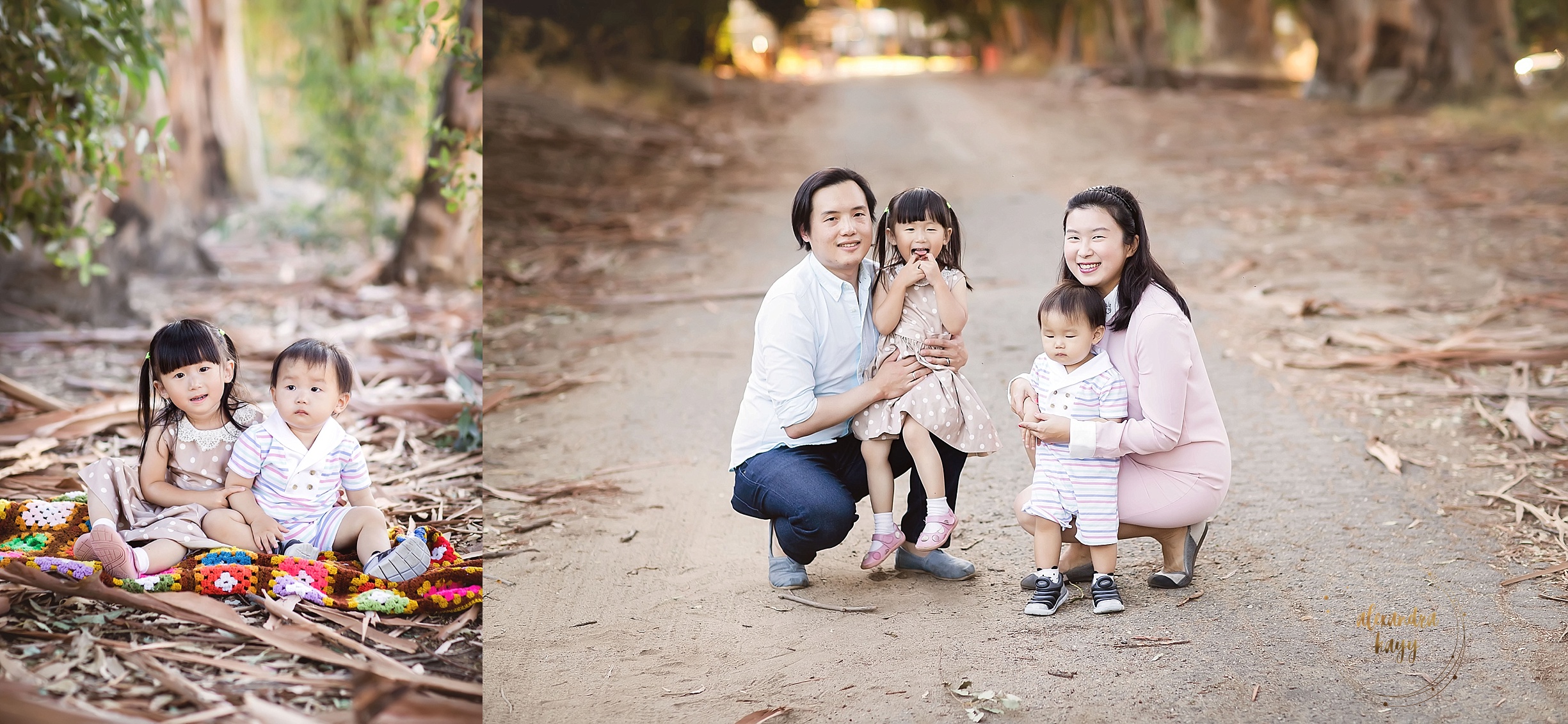 Phoenix Family Photographer, family photography near me