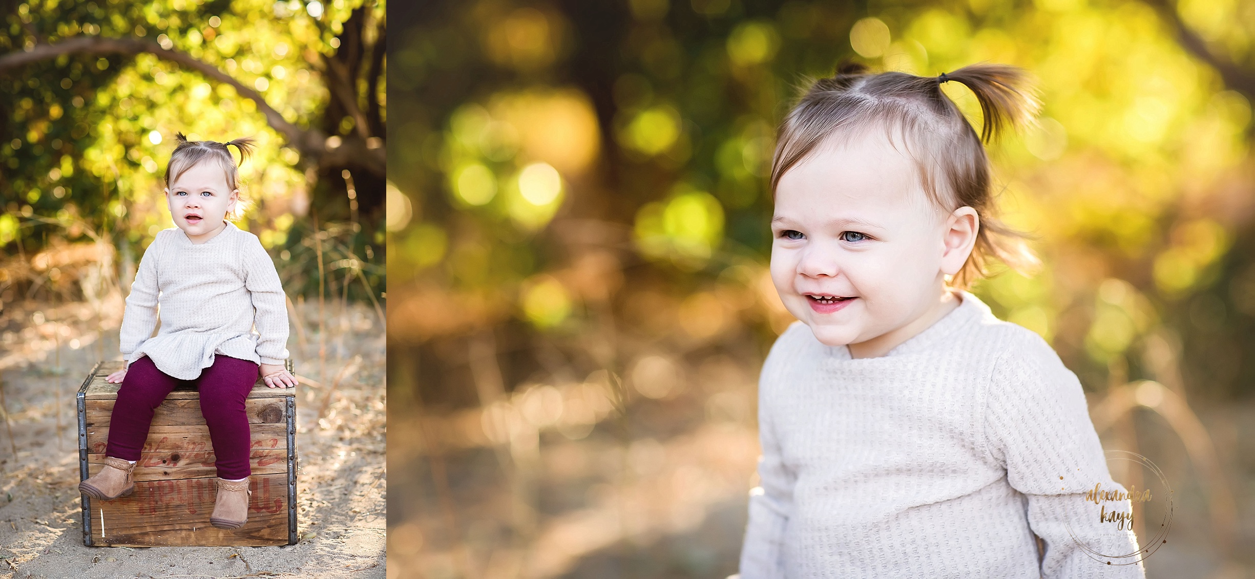 Litchfield Park, AZ Family Photographer