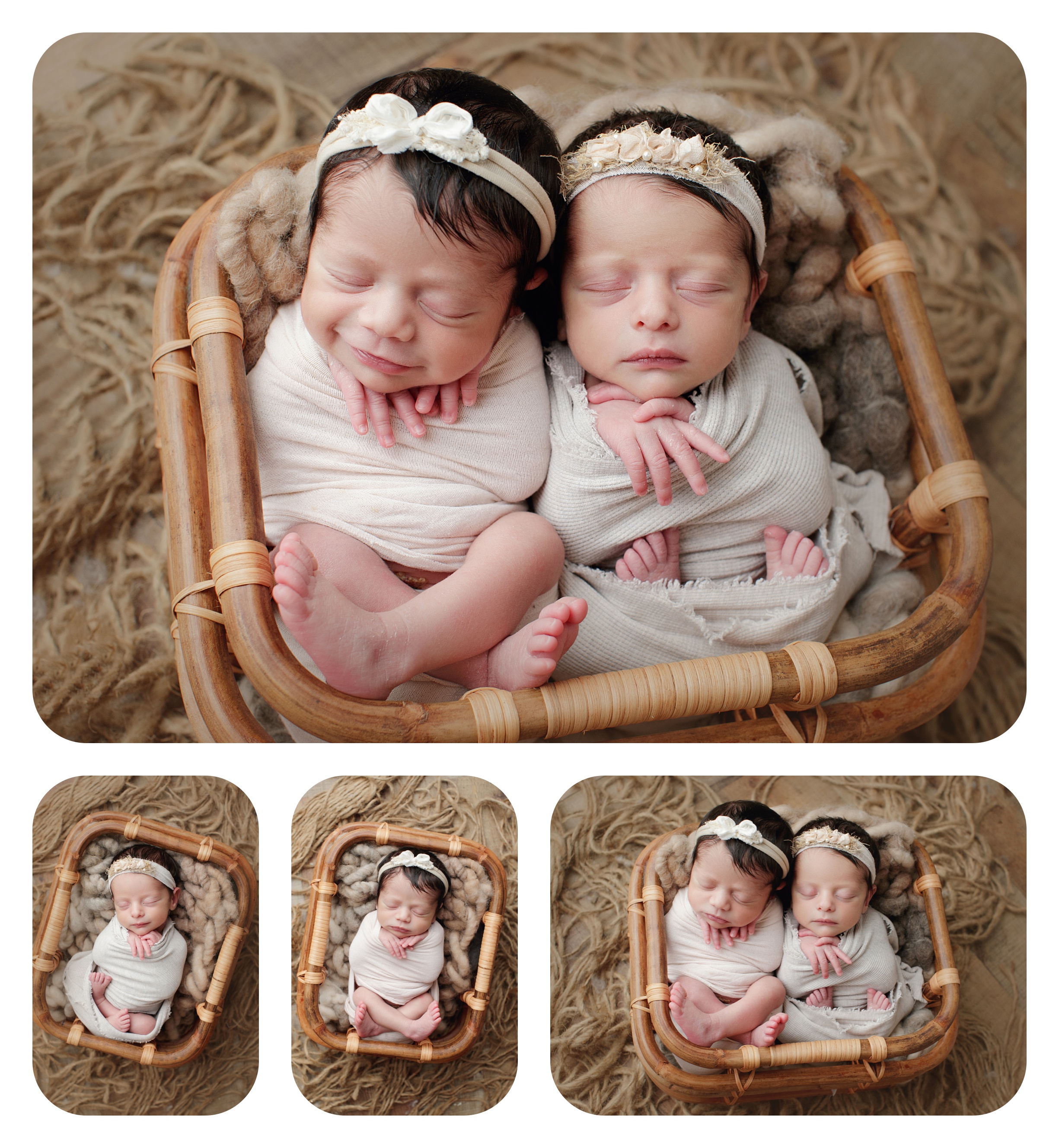 professional newborn photography