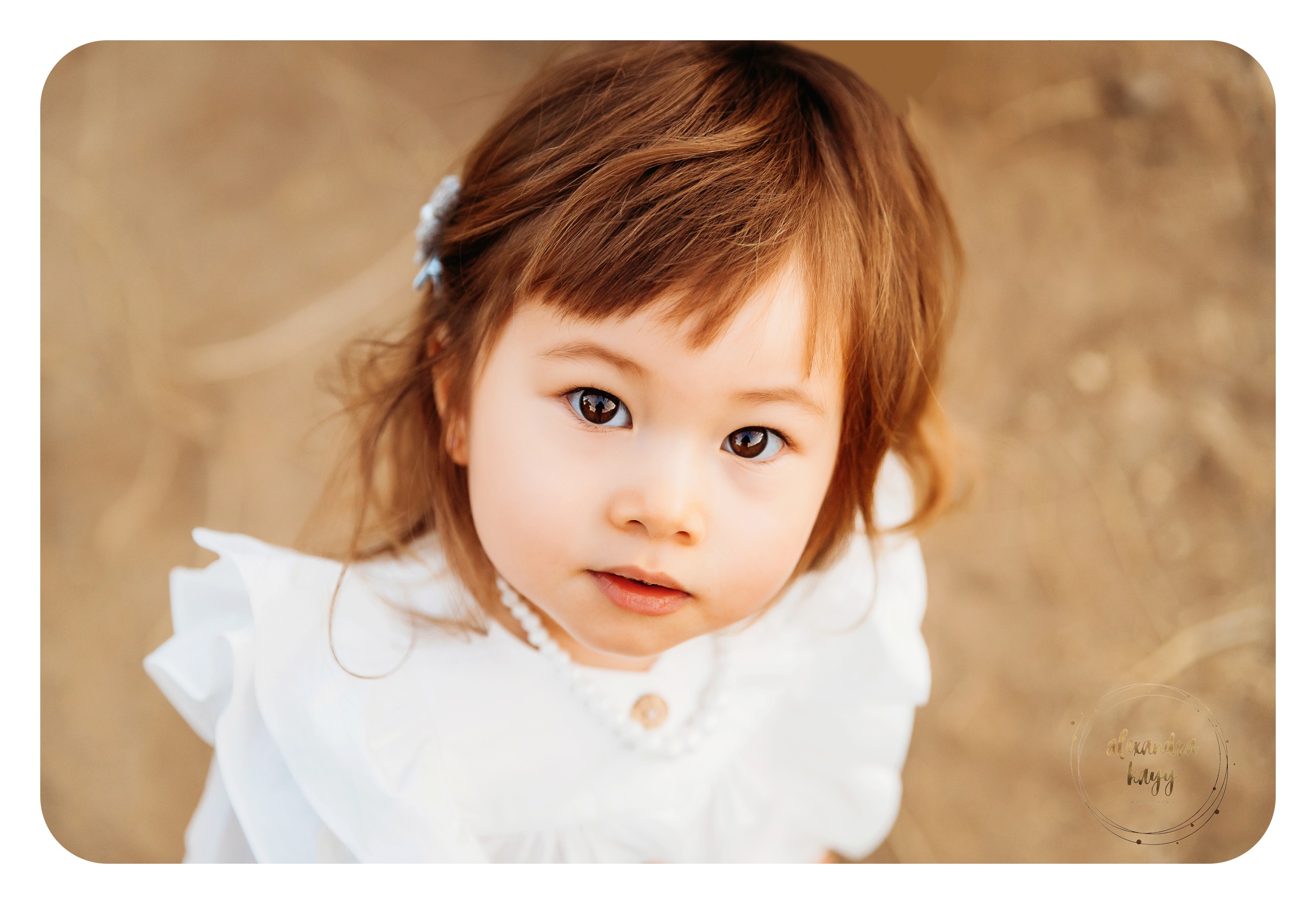 2.5 yr Old Session | Phoenix Child Portraits!