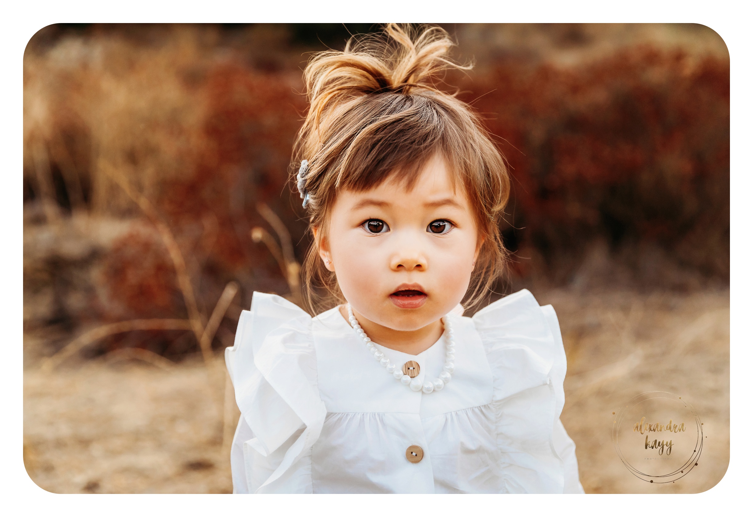 2.5 yr Old Session | Phoenix Child Portraits!