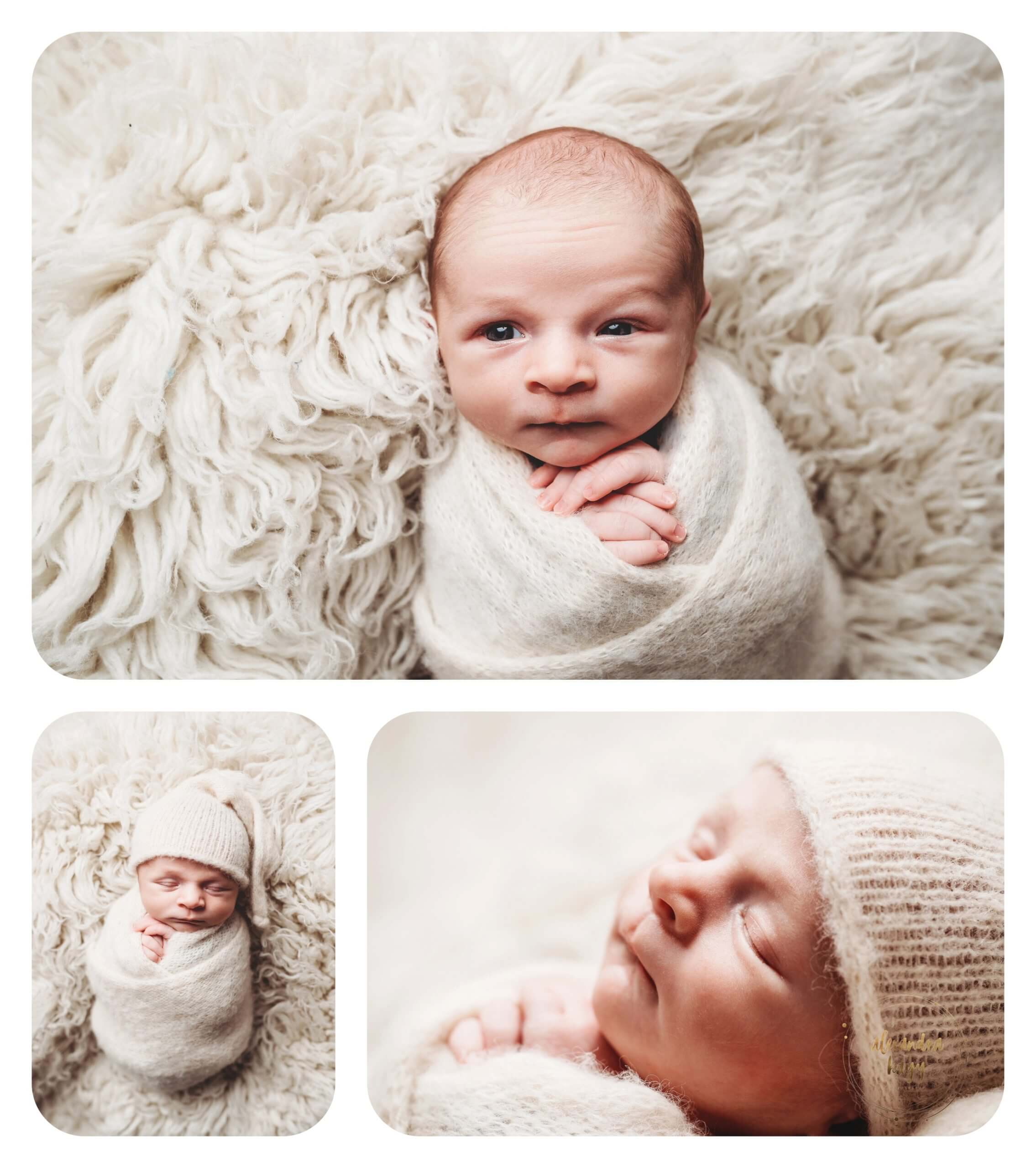 In-Home Newborn Portrait Session Phoenix, AZ