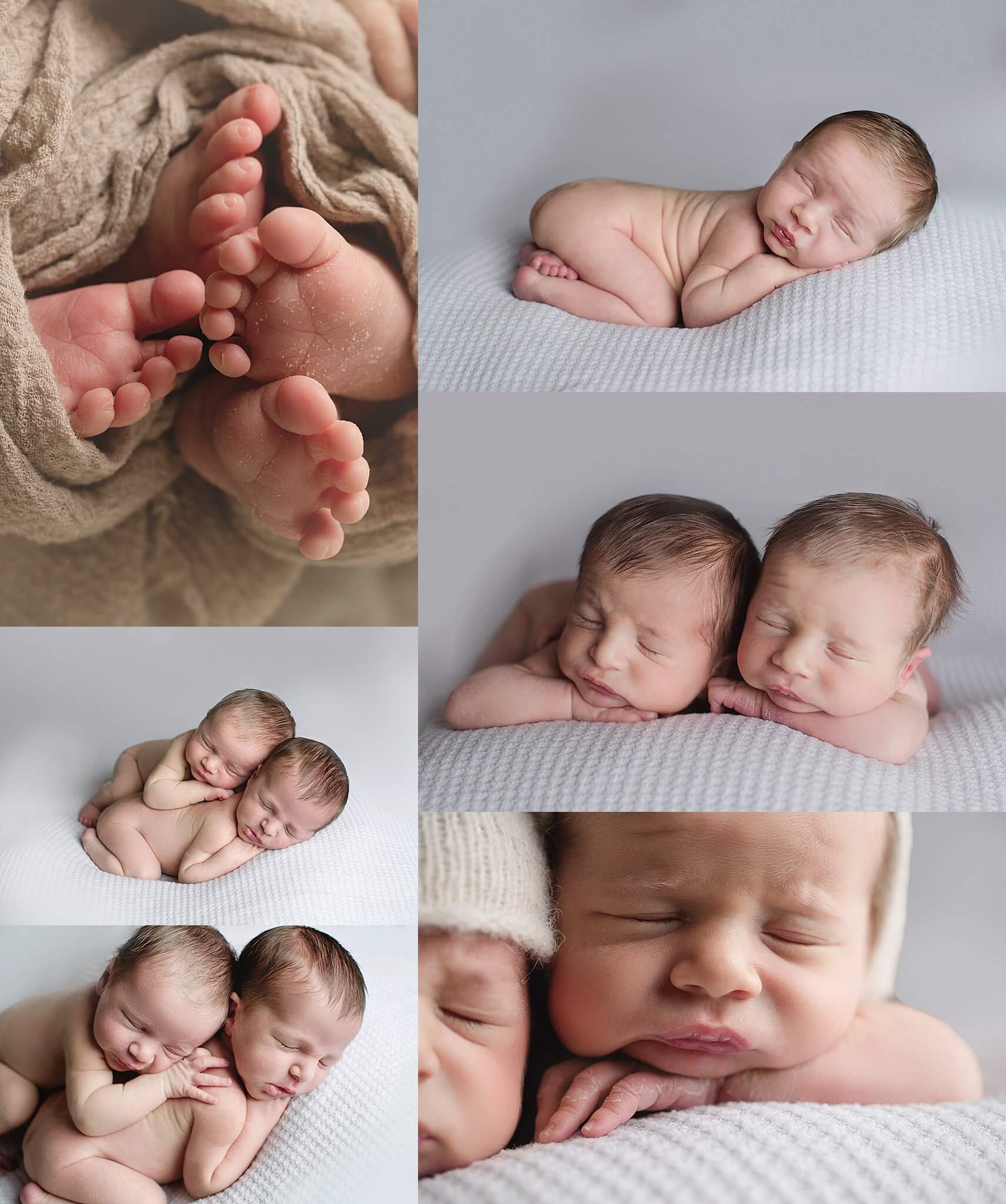 phoenix twin newborn baby photographer