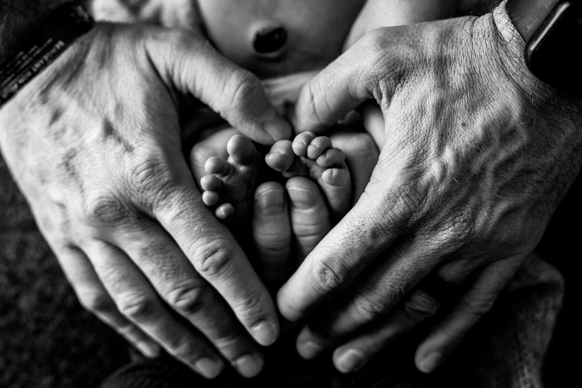 Newborn Portrait Session in Sherman Oaks, CA