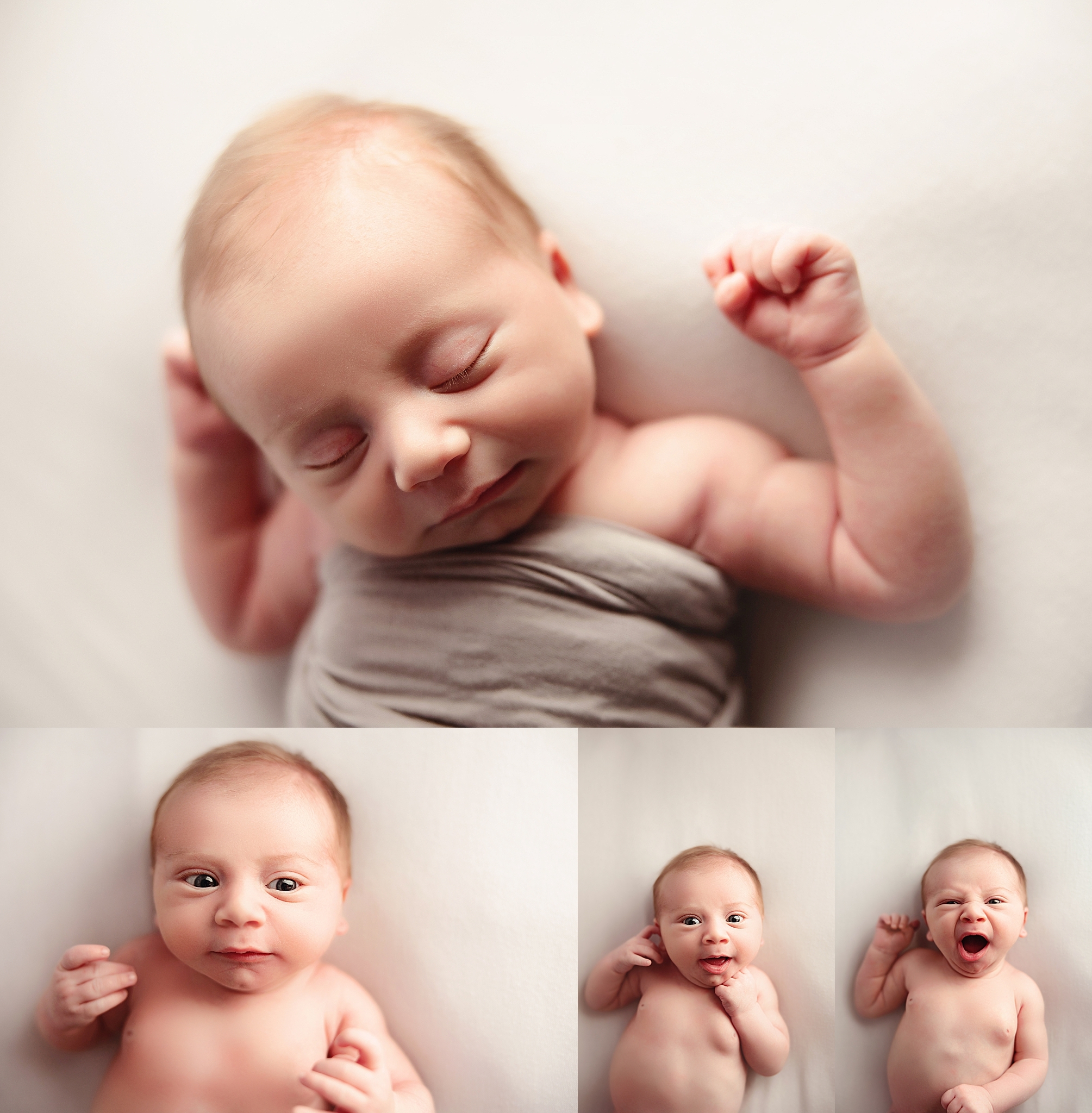 Paradise Valley Newborn Photography