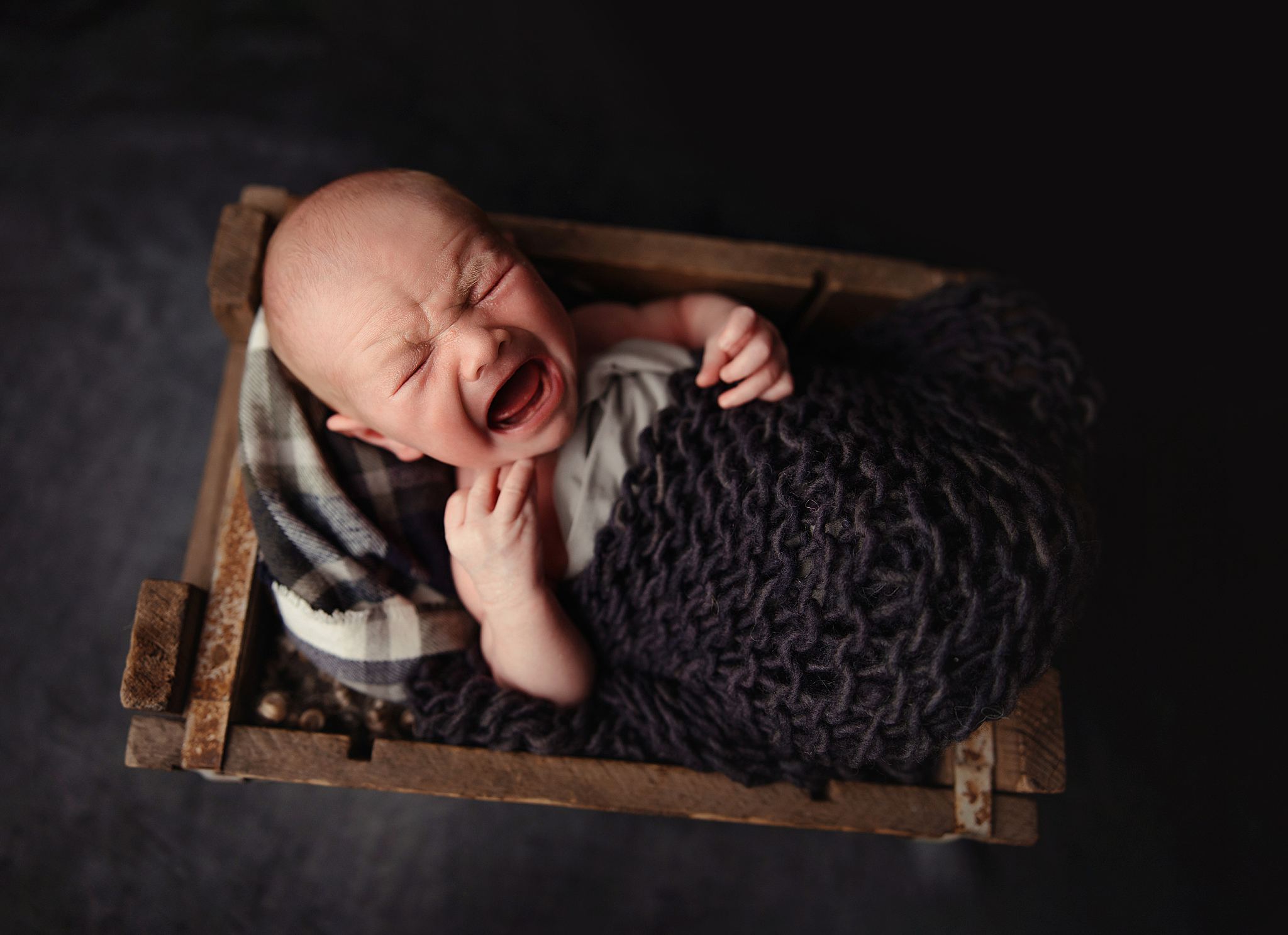 Newborn Portraits Paradise Valley, AZ