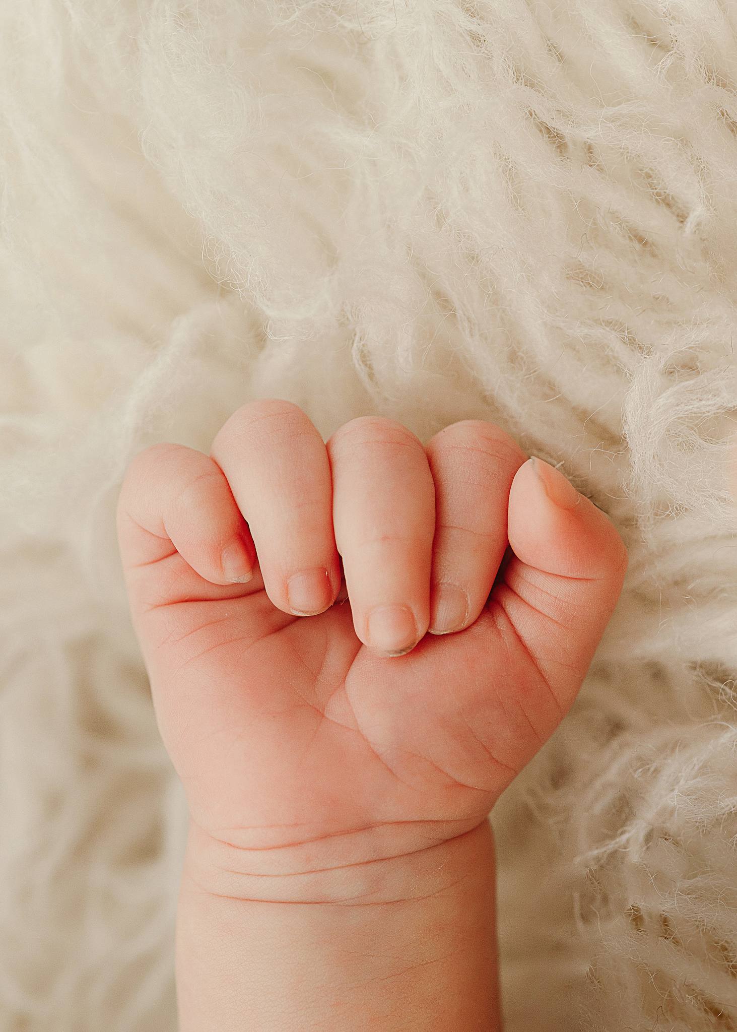 	
Litchfield Park, AZ in home newborn photographer