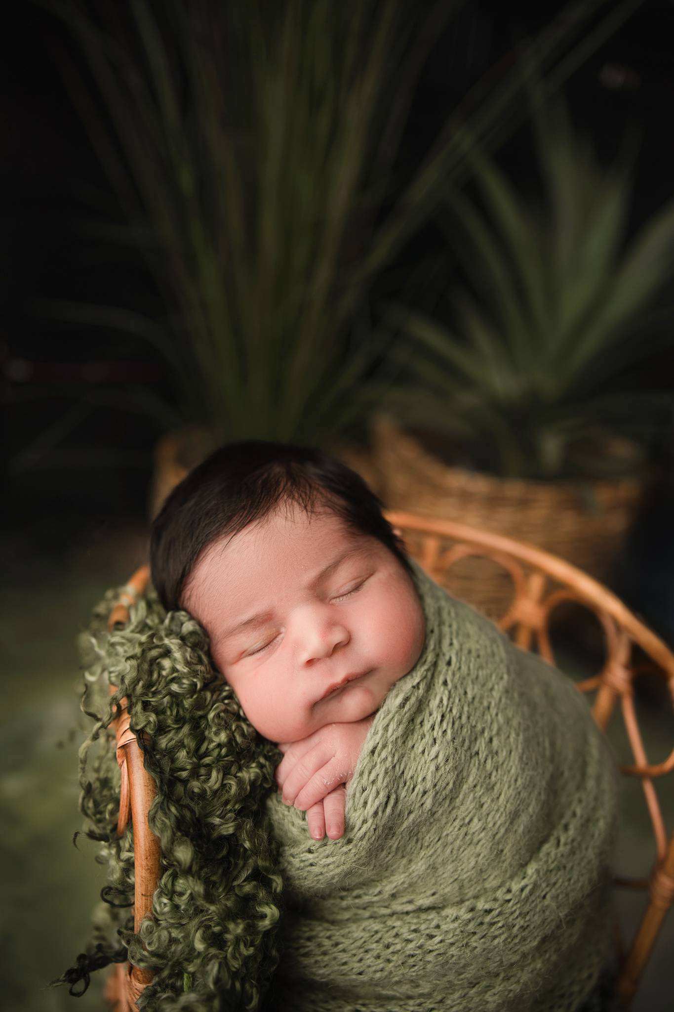 phoenix infant portraits, baby photography in Litchfield park, baby photography near me